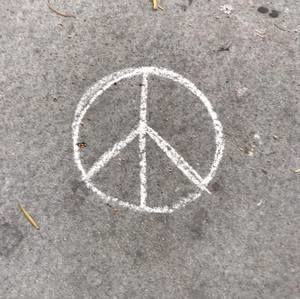 Meet your Posher, Tamara